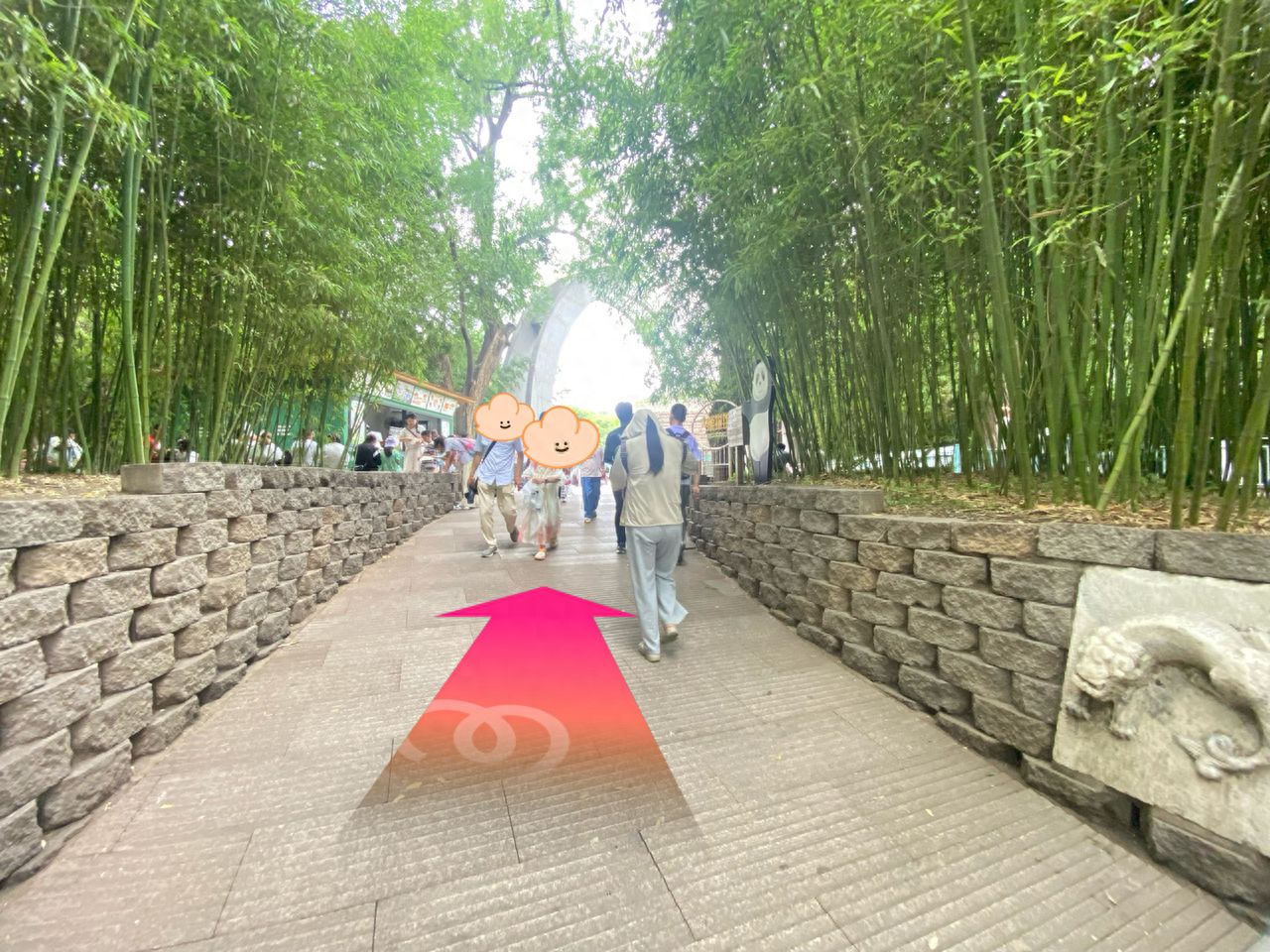 null — step-by-step photo guide