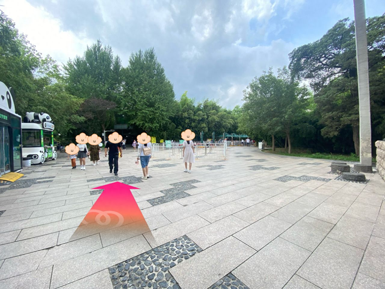 null — step-by-step photo guide