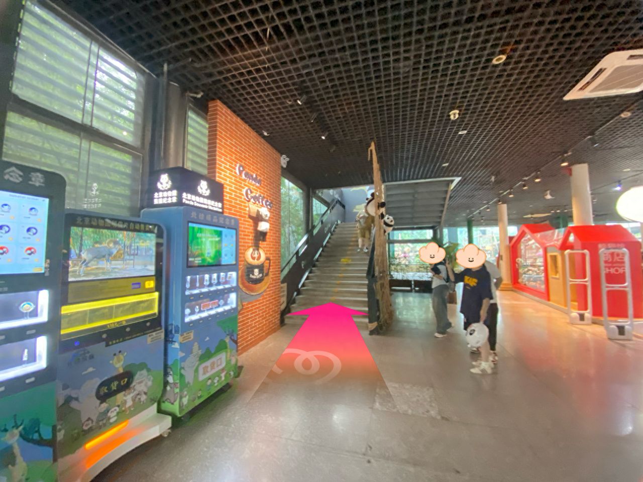 null — step-by-step photo guide