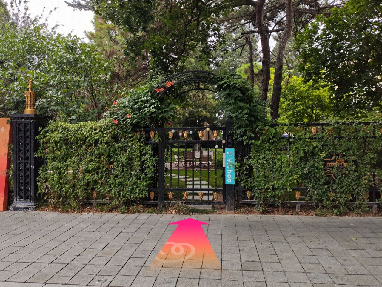 null — step-by-step photo guide