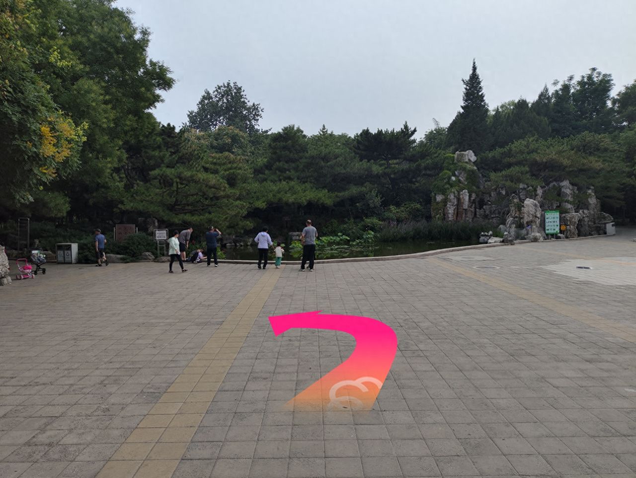 null — step-by-step photo guide