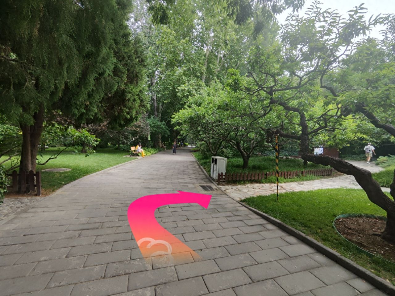 null — step-by-step photo guide