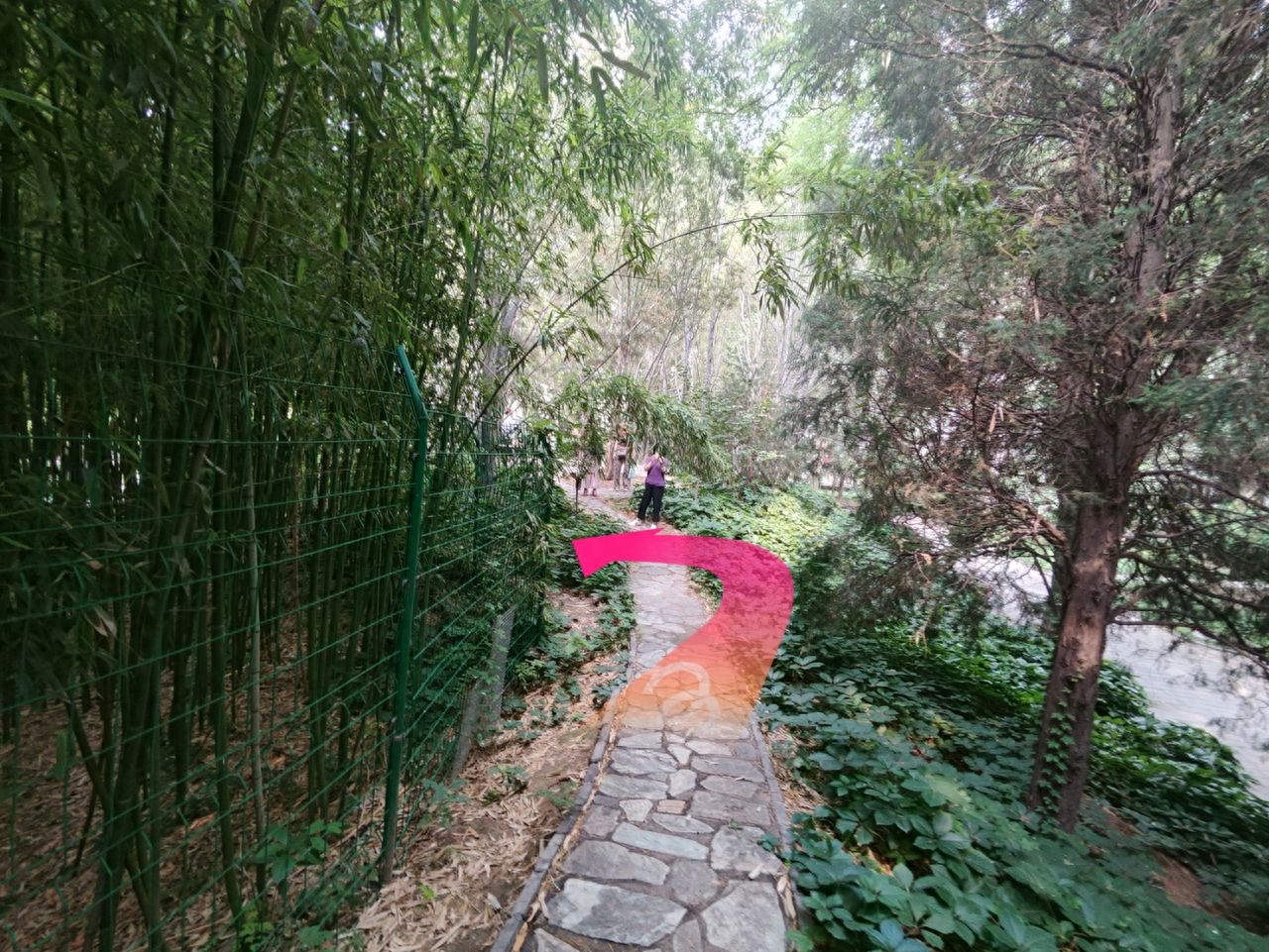 null — step-by-step photo guide