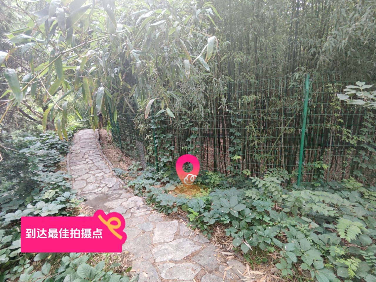 null — step-by-step photo guide