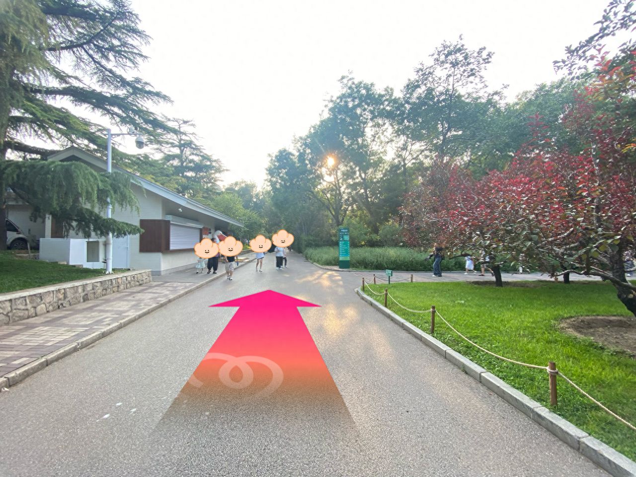 null — step-by-step photo guide