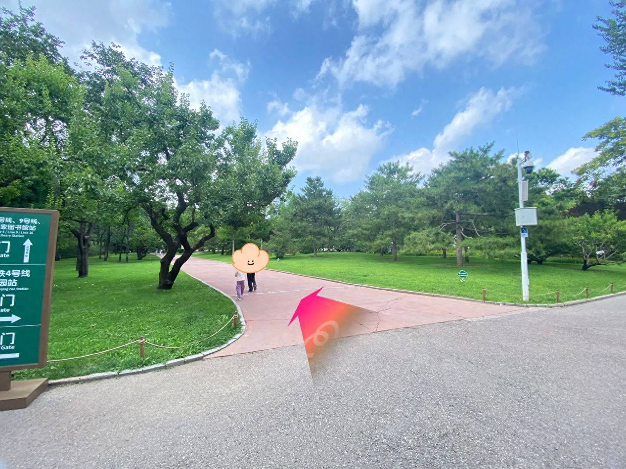 null — step-by-step photo guide