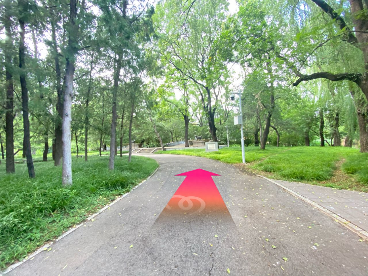 null — step-by-step photo guide