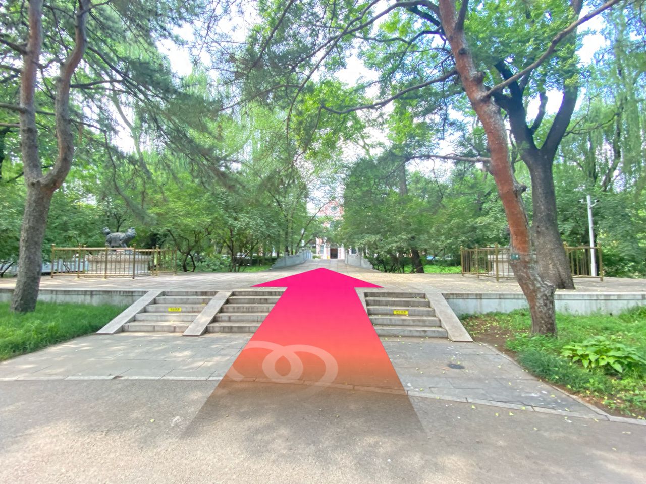 null — step-by-step photo guide