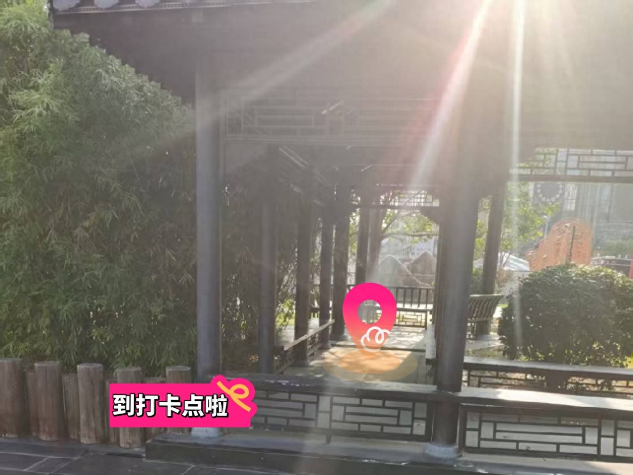 null — step-by-step photo guide