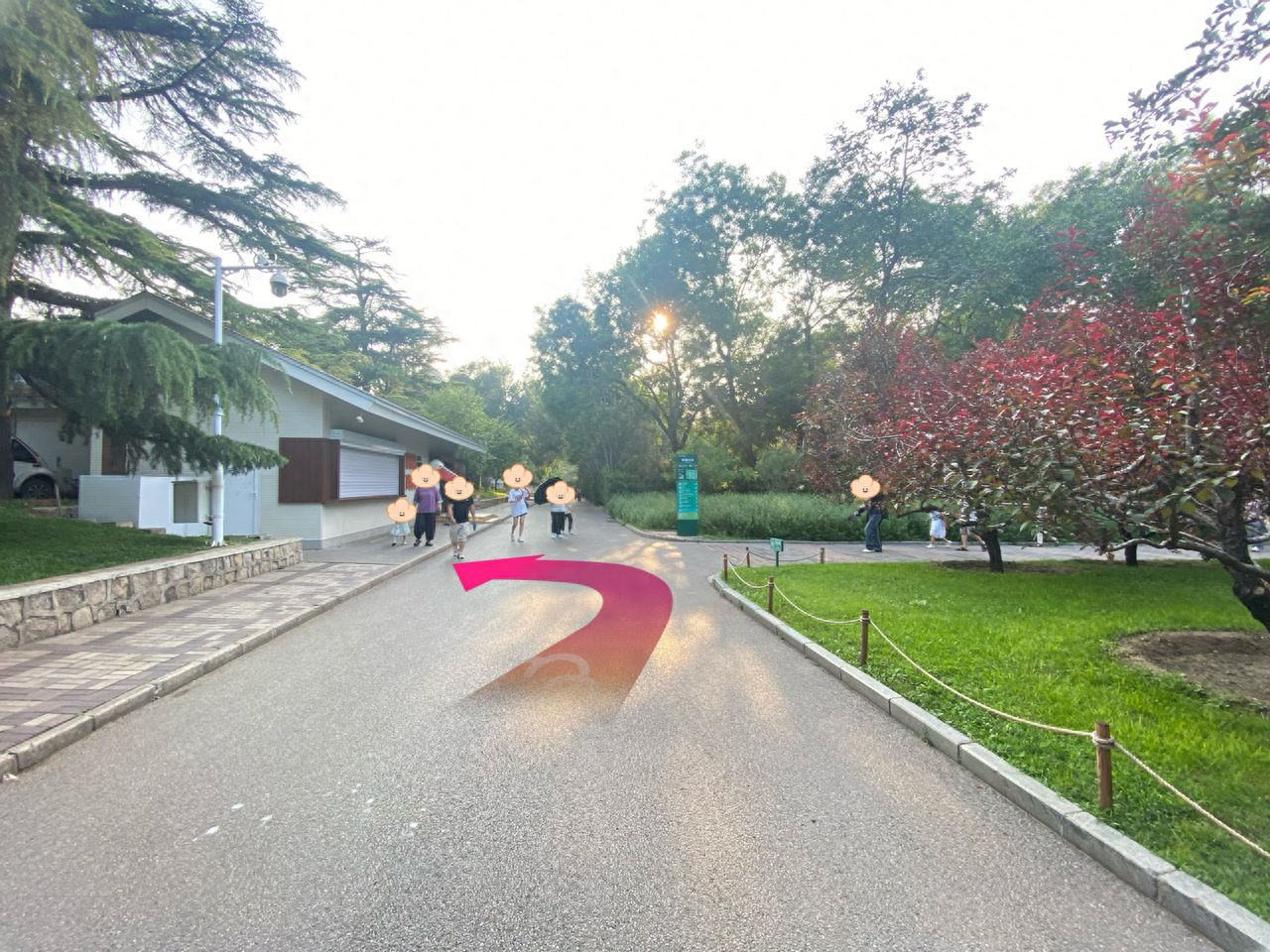 null — step-by-step photo guide