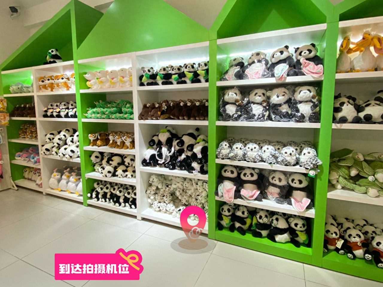 null — step-by-step photo guide