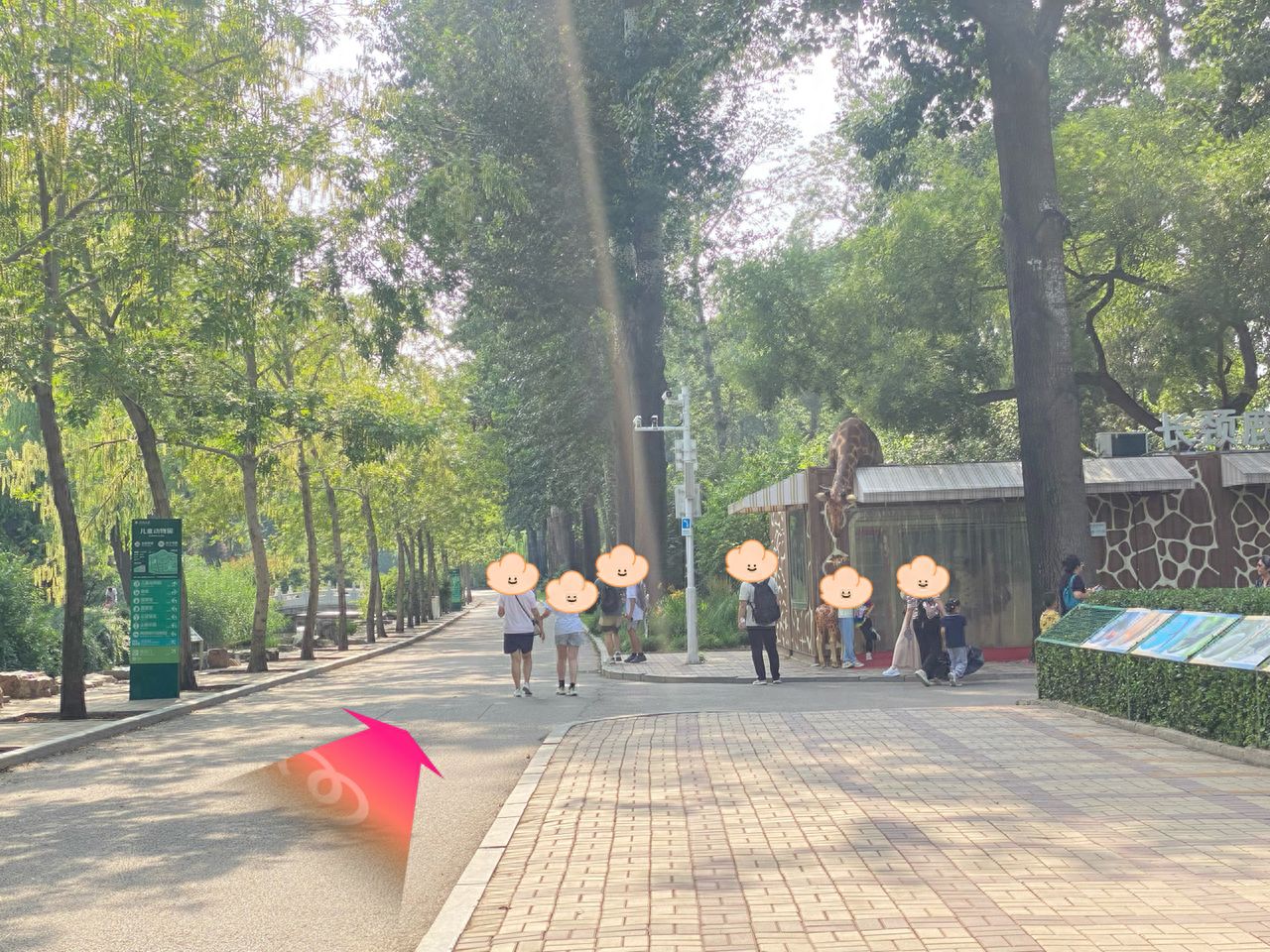 null — step-by-step photo guide