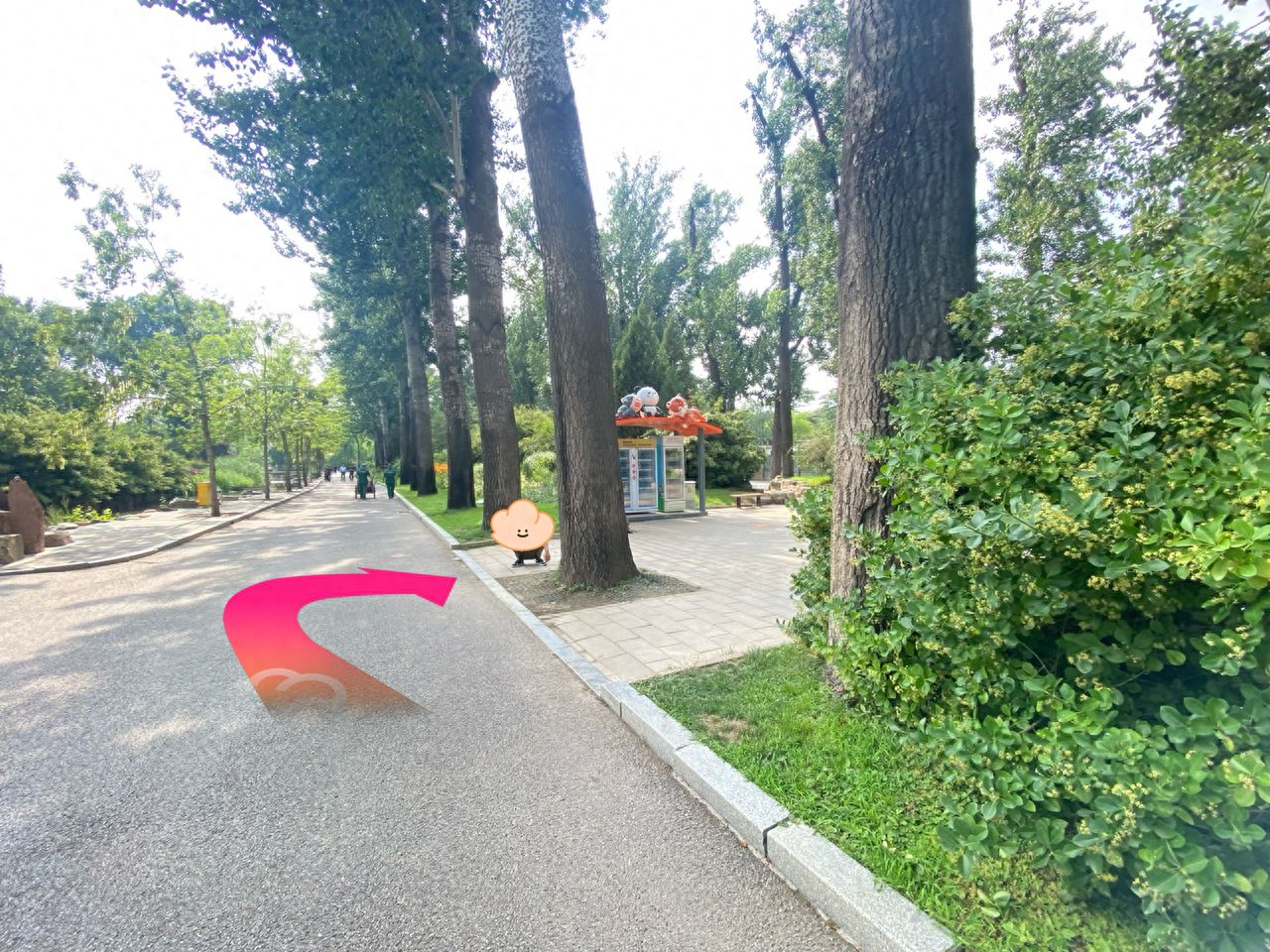 null — step-by-step photo guide