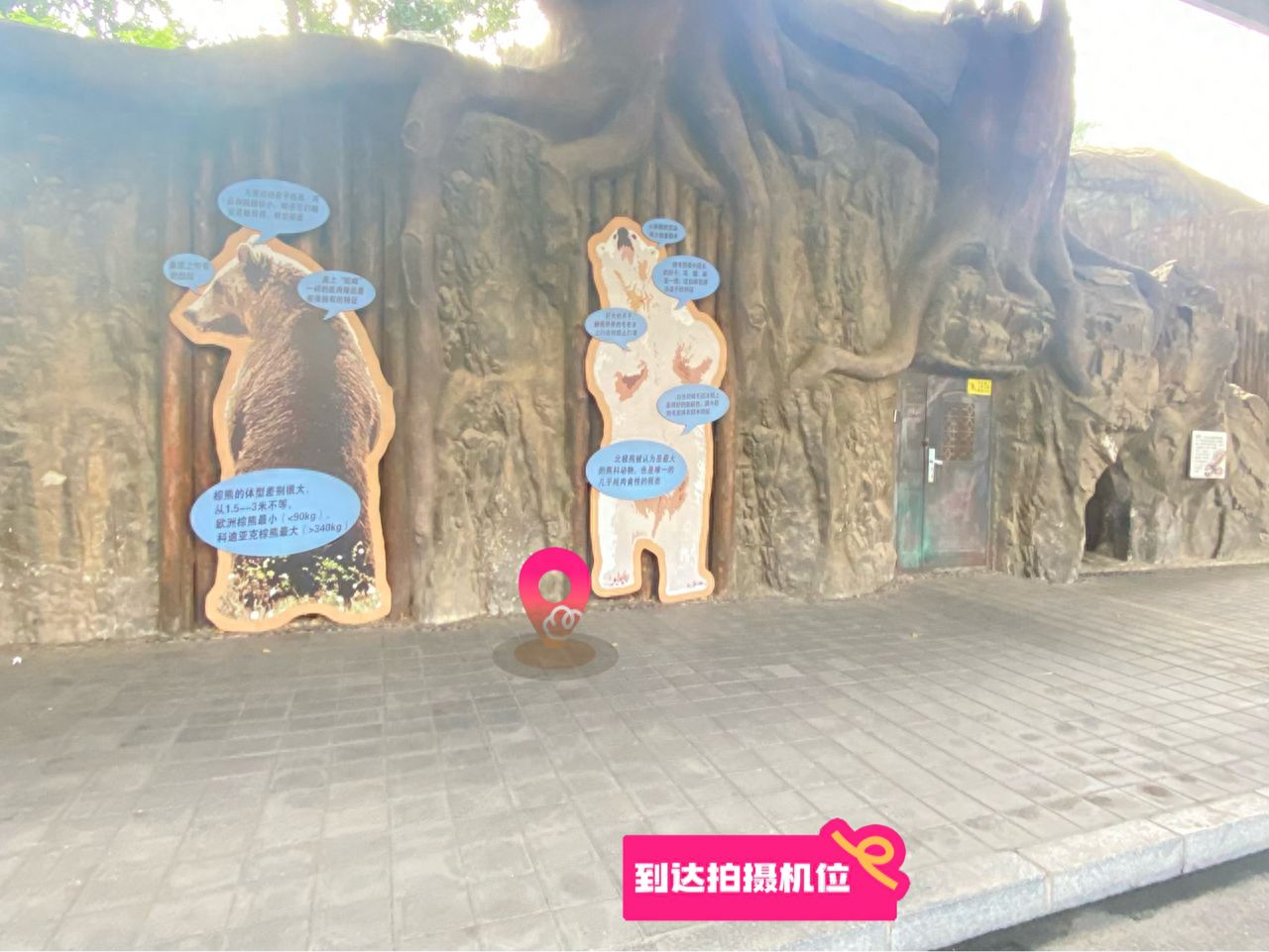 null — step-by-step photo guide