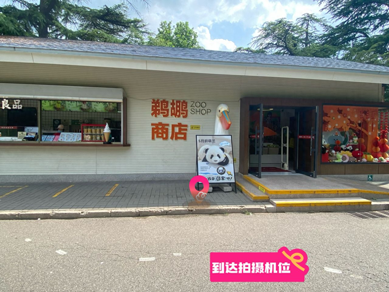 null — step-by-step photo guide