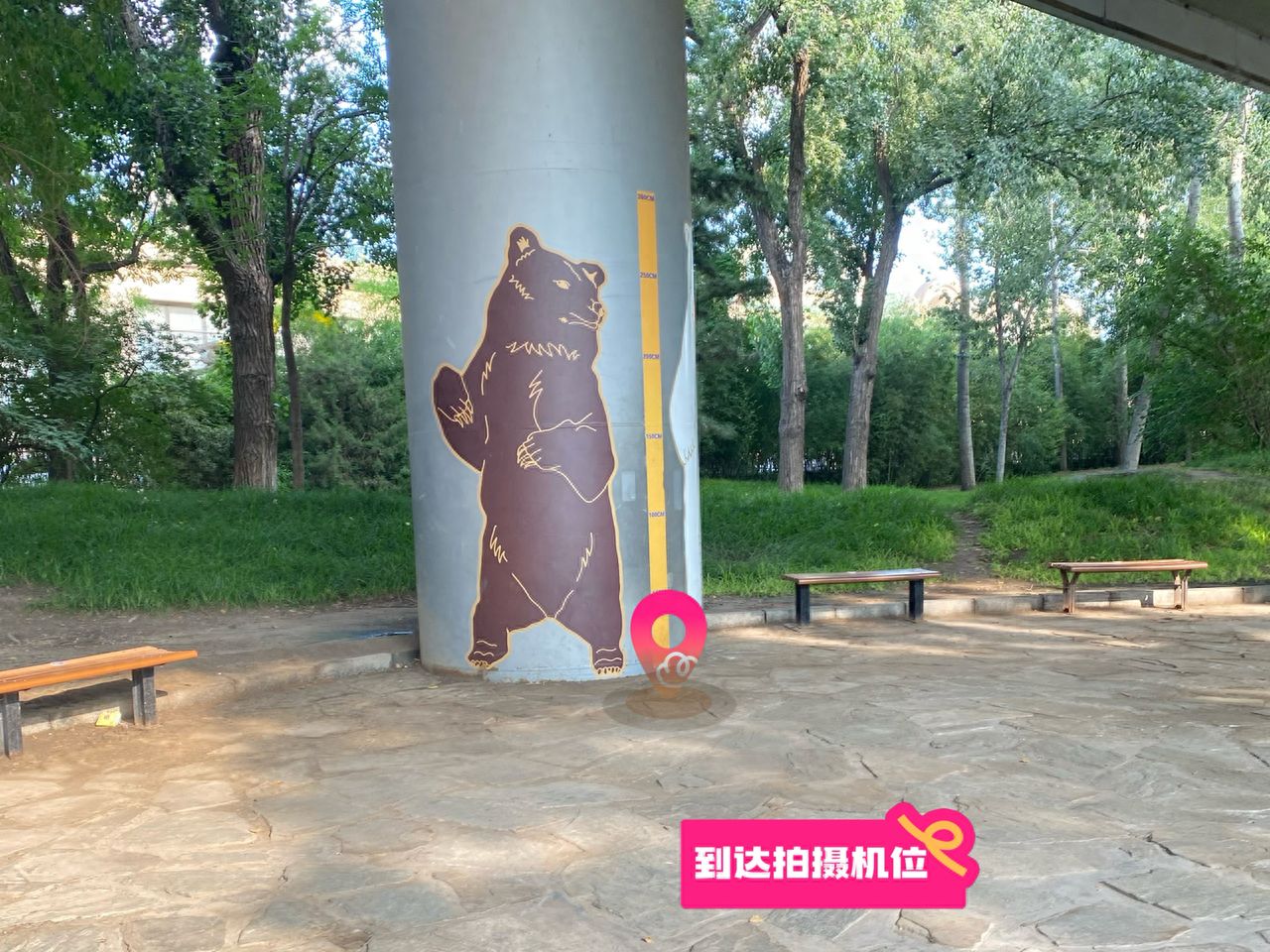 null — step-by-step photo guide