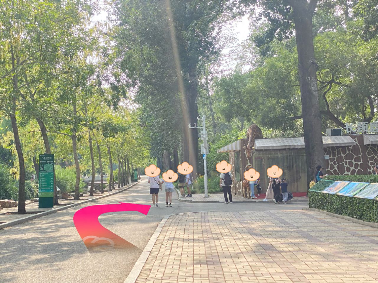 null — step-by-step photo guide