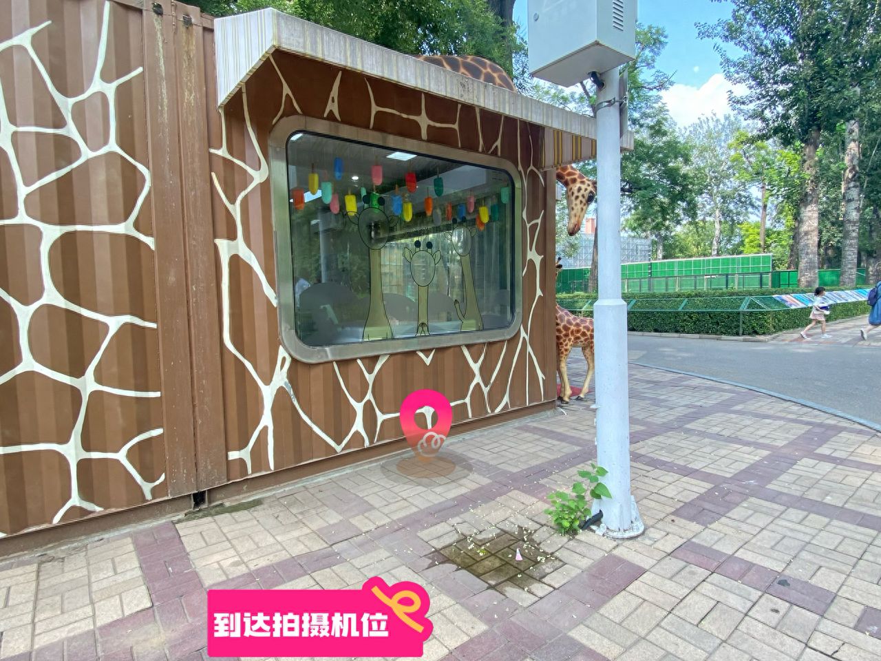 null — step-by-step photo guide