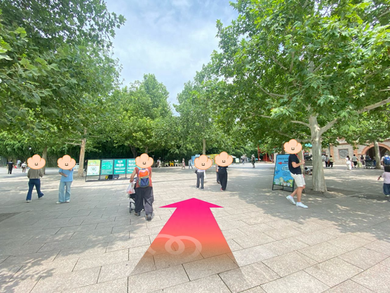 null — step-by-step photo guide