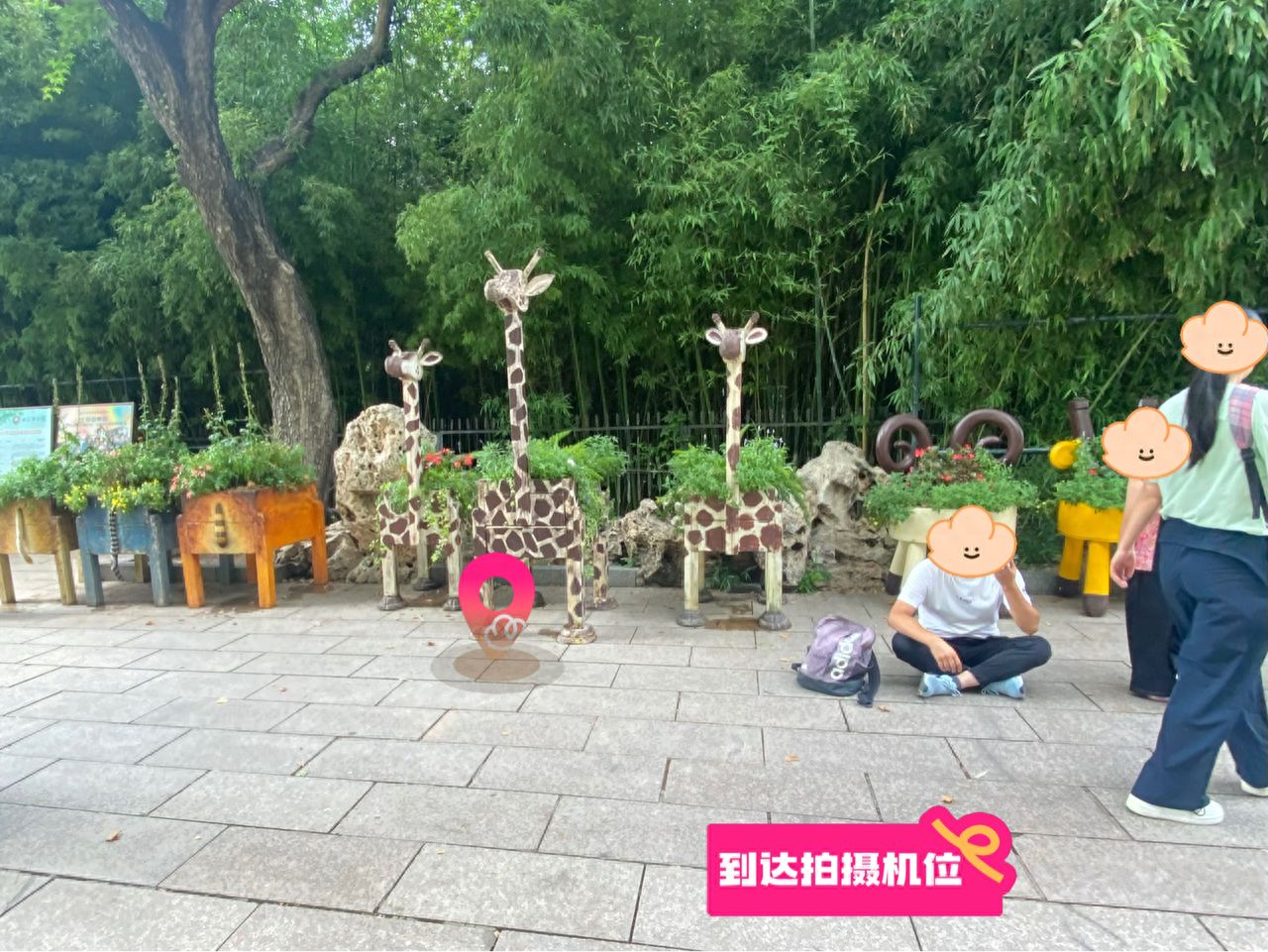 null — step-by-step photo guide