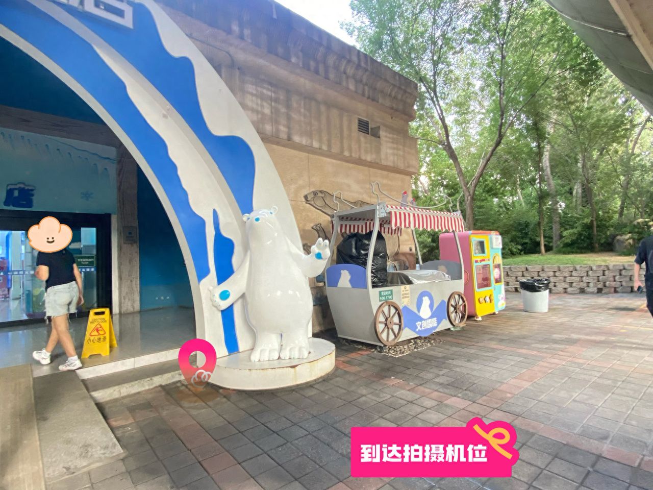 null — step-by-step photo guide