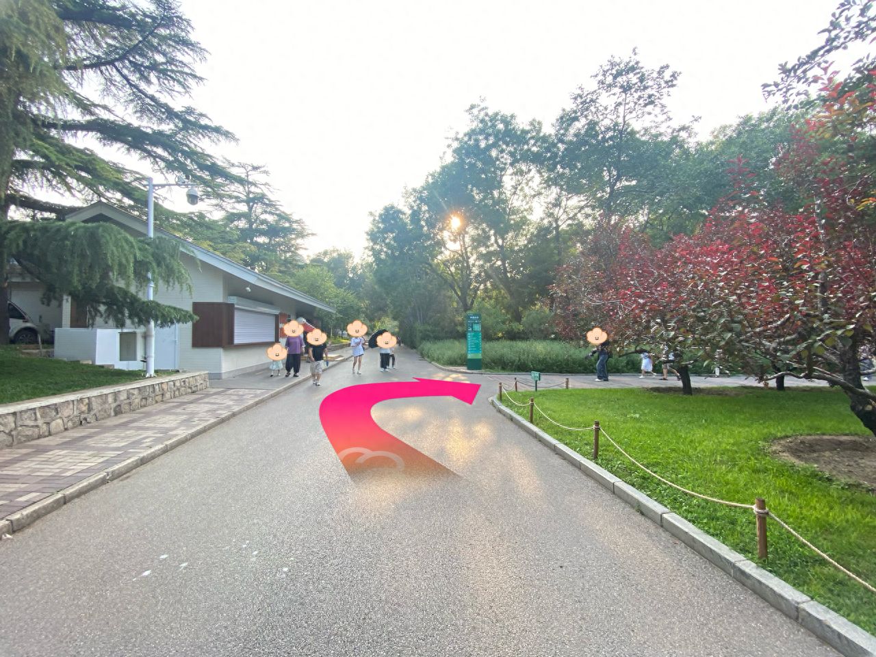 null — step-by-step photo guide