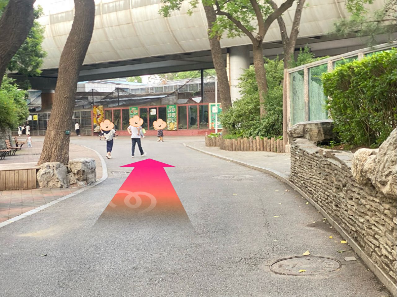 null — step-by-step photo guide