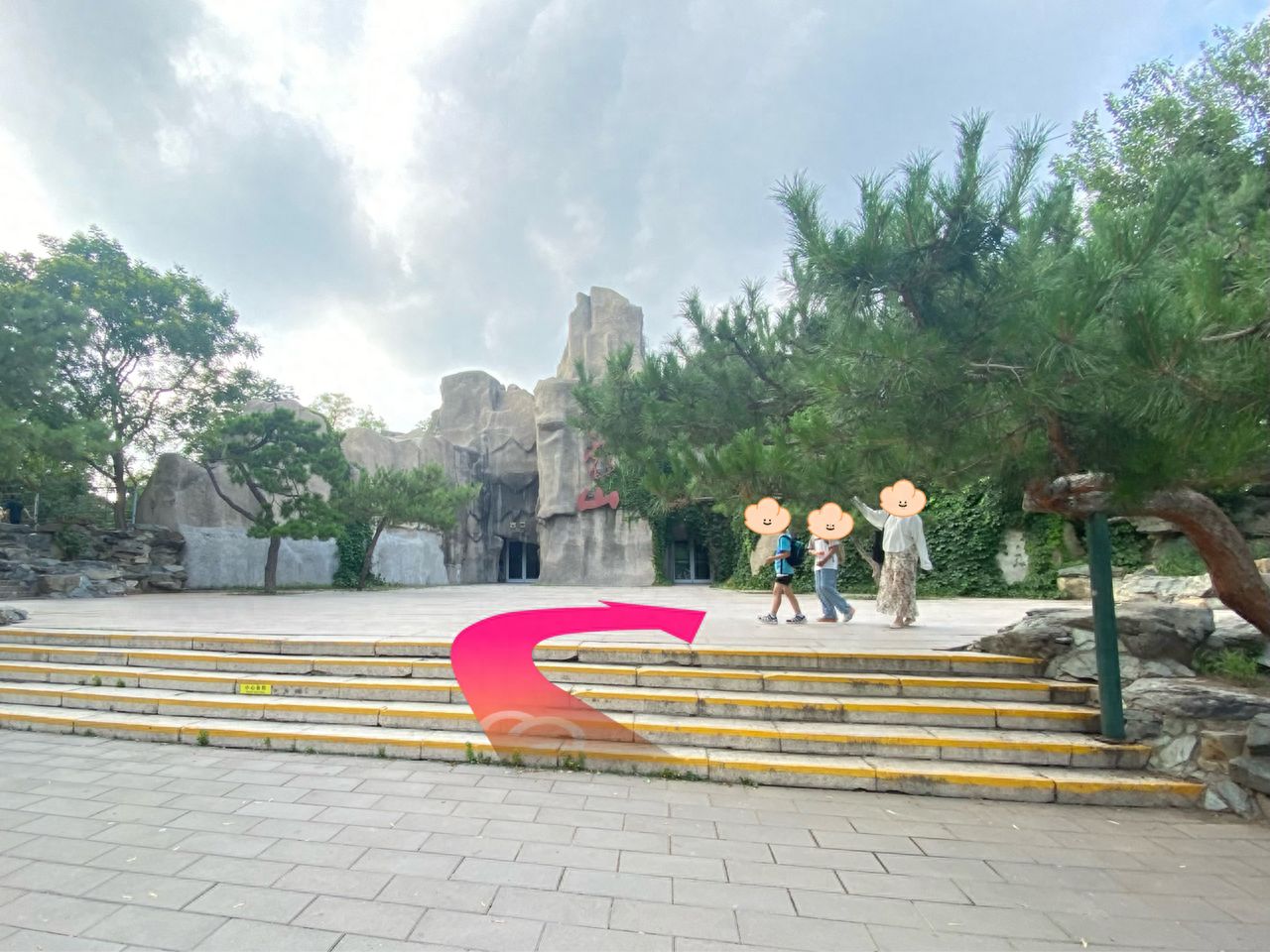 null — step-by-step photo guide