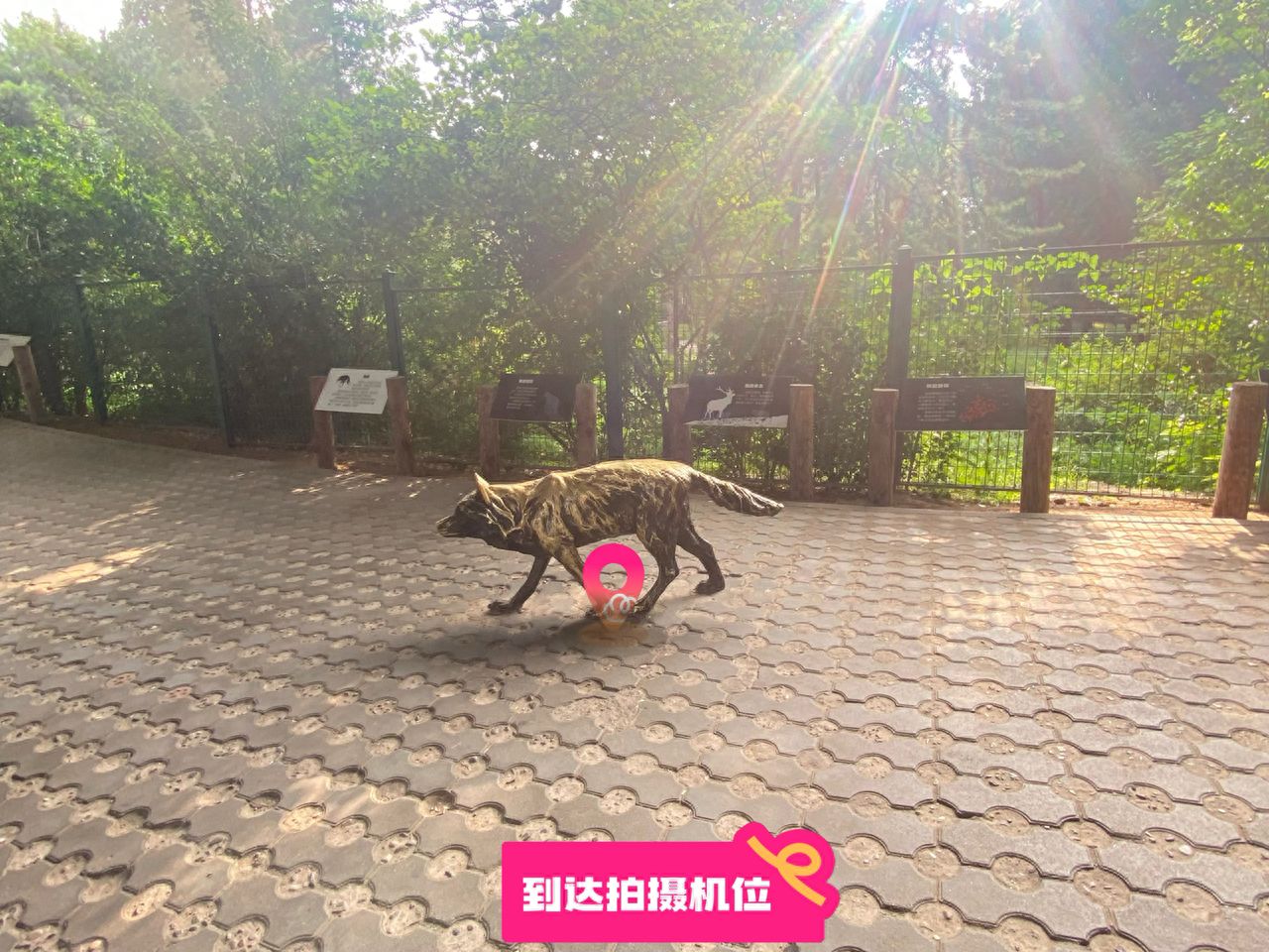 null — step-by-step photo guide