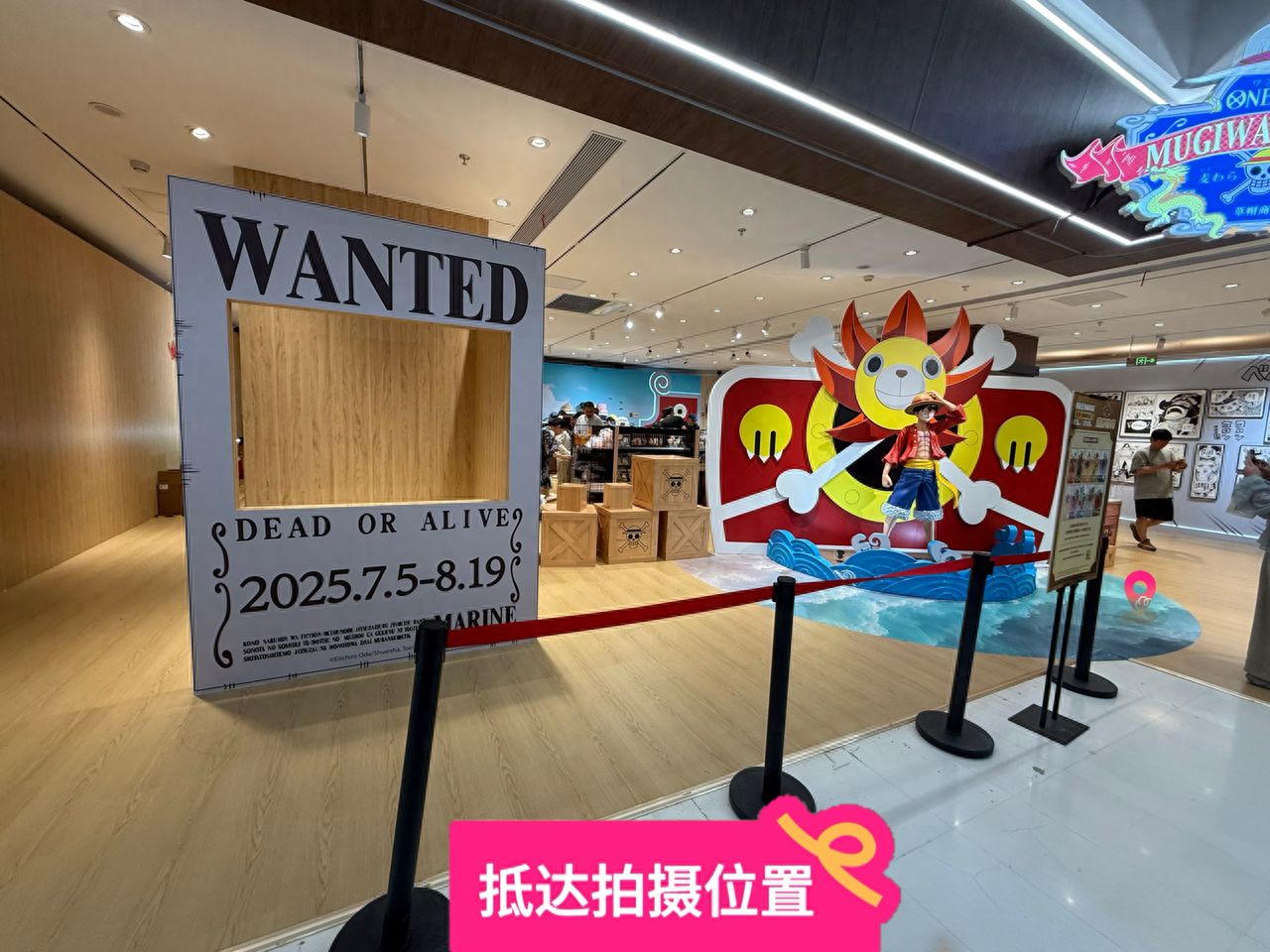 null — step-by-step photo guide