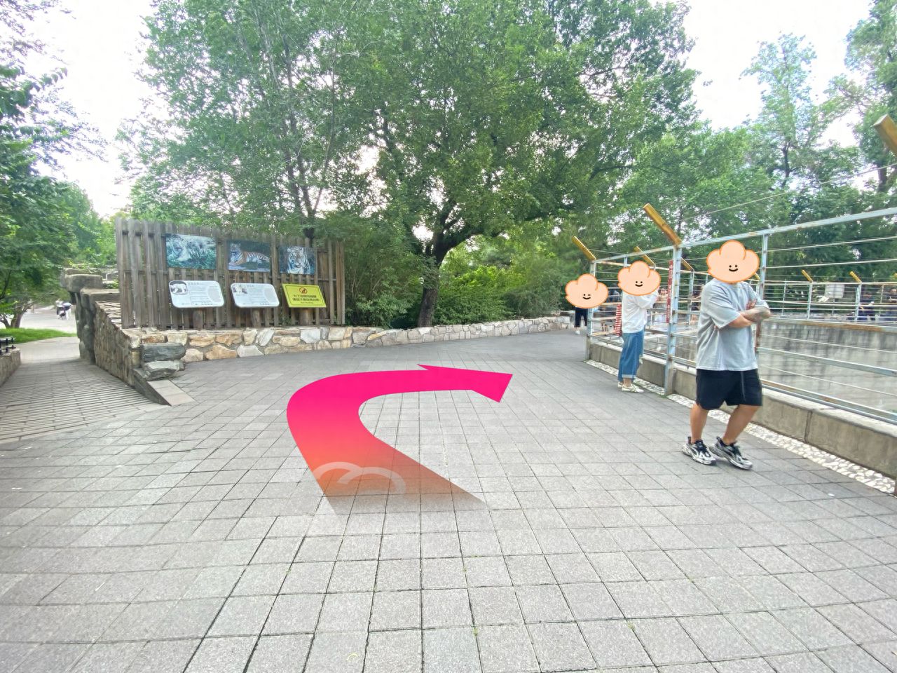 null — step-by-step photo guide