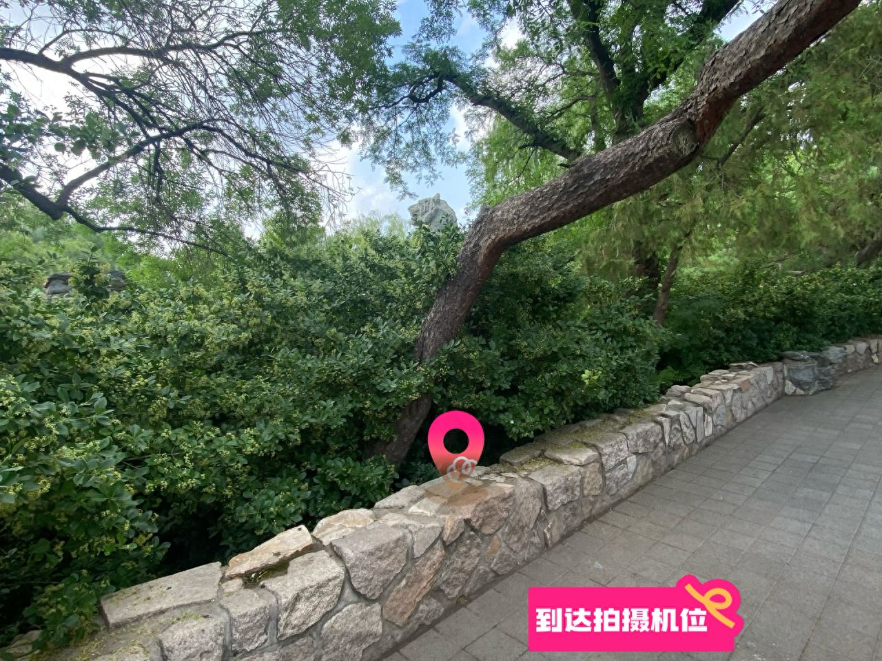 null — step-by-step photo guide