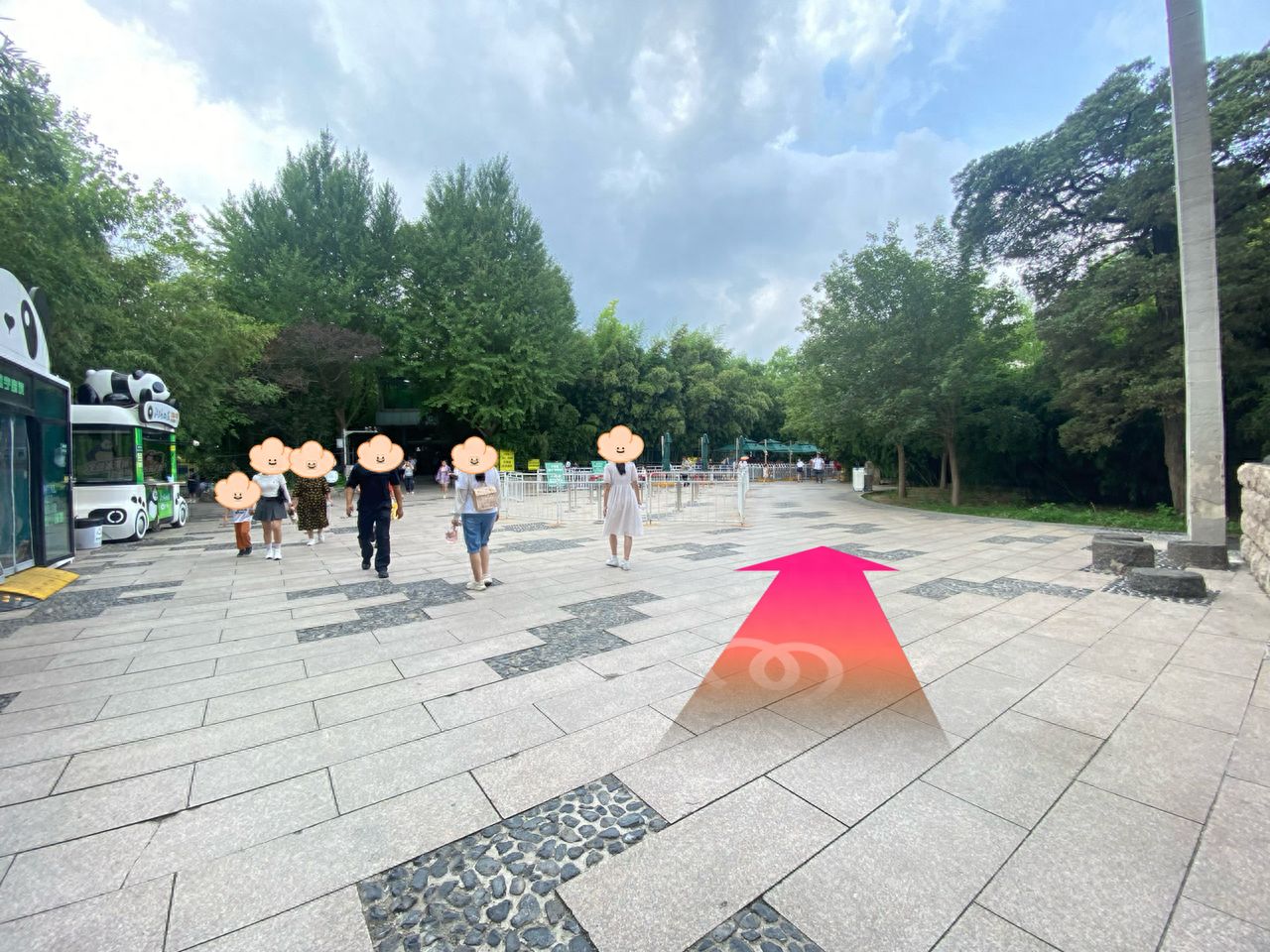 null — step-by-step photo guide