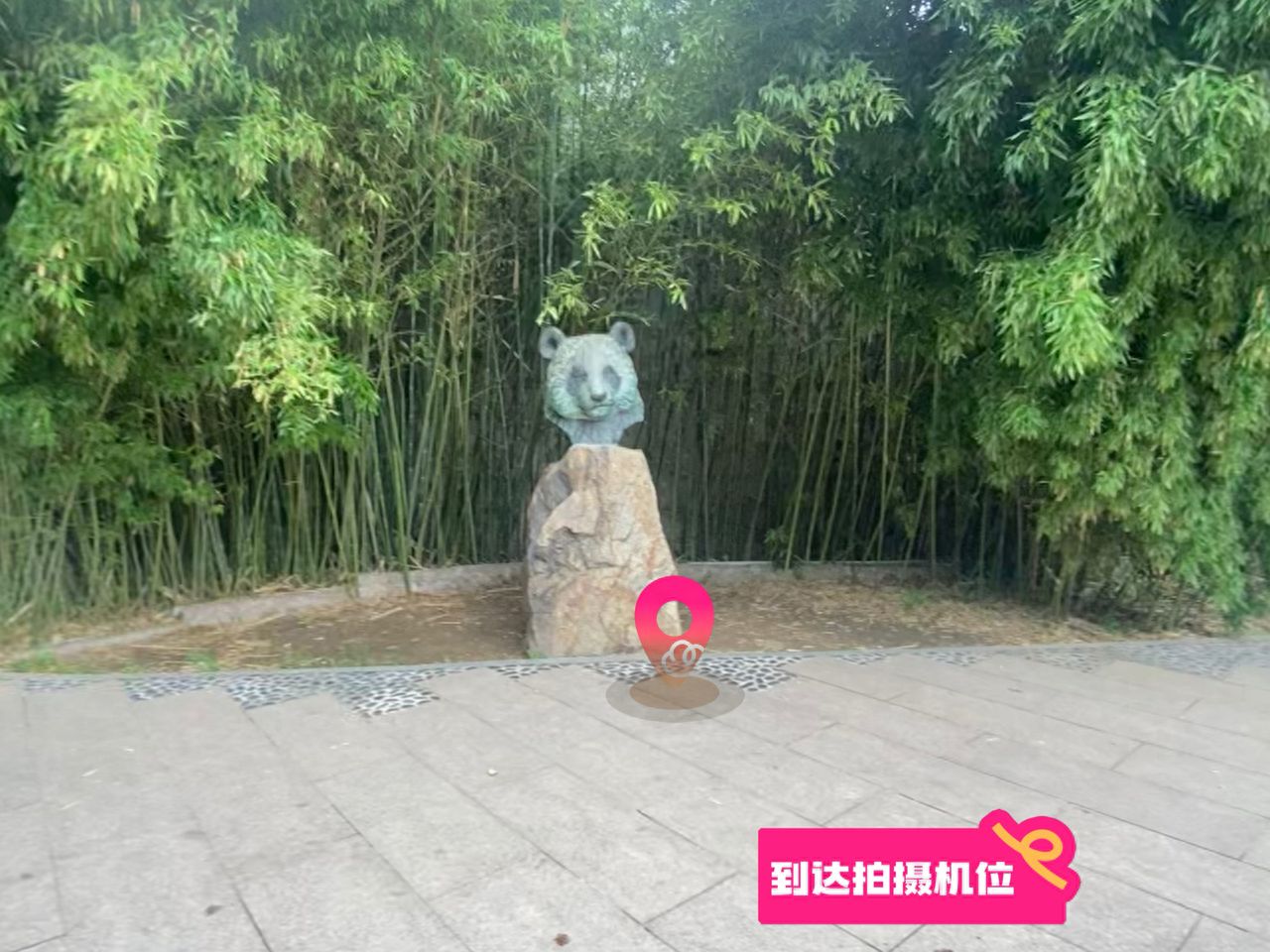 null — step-by-step photo guide