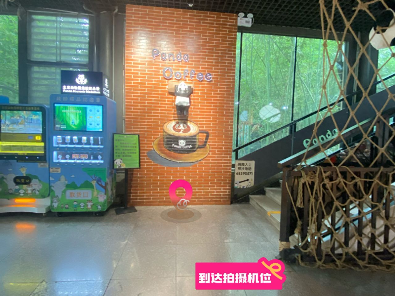 null — step-by-step photo guide