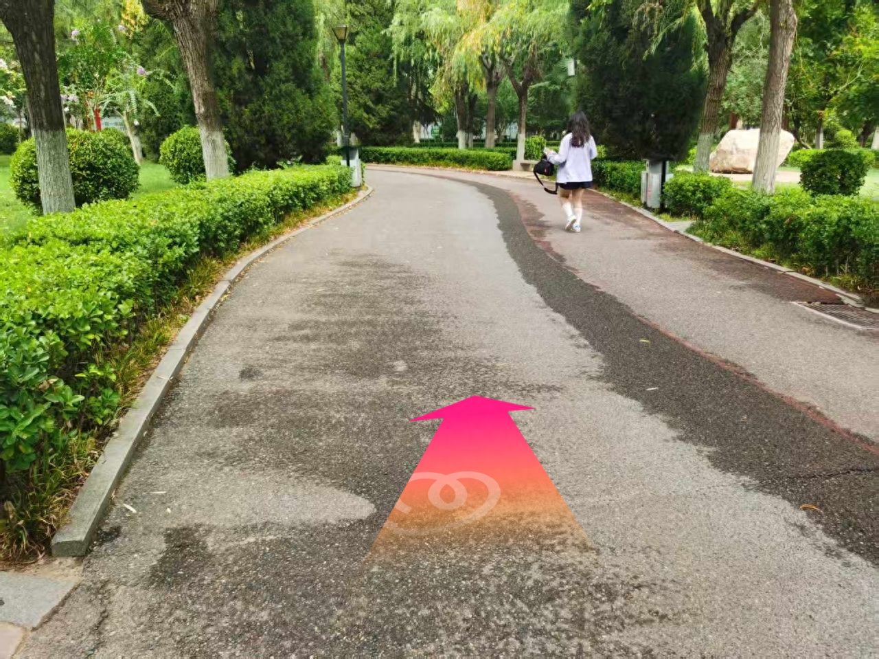 null — step-by-step photo guide