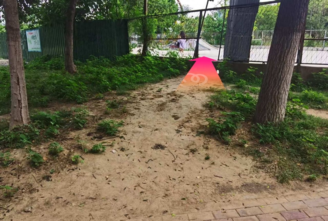 null — step-by-step photo guide