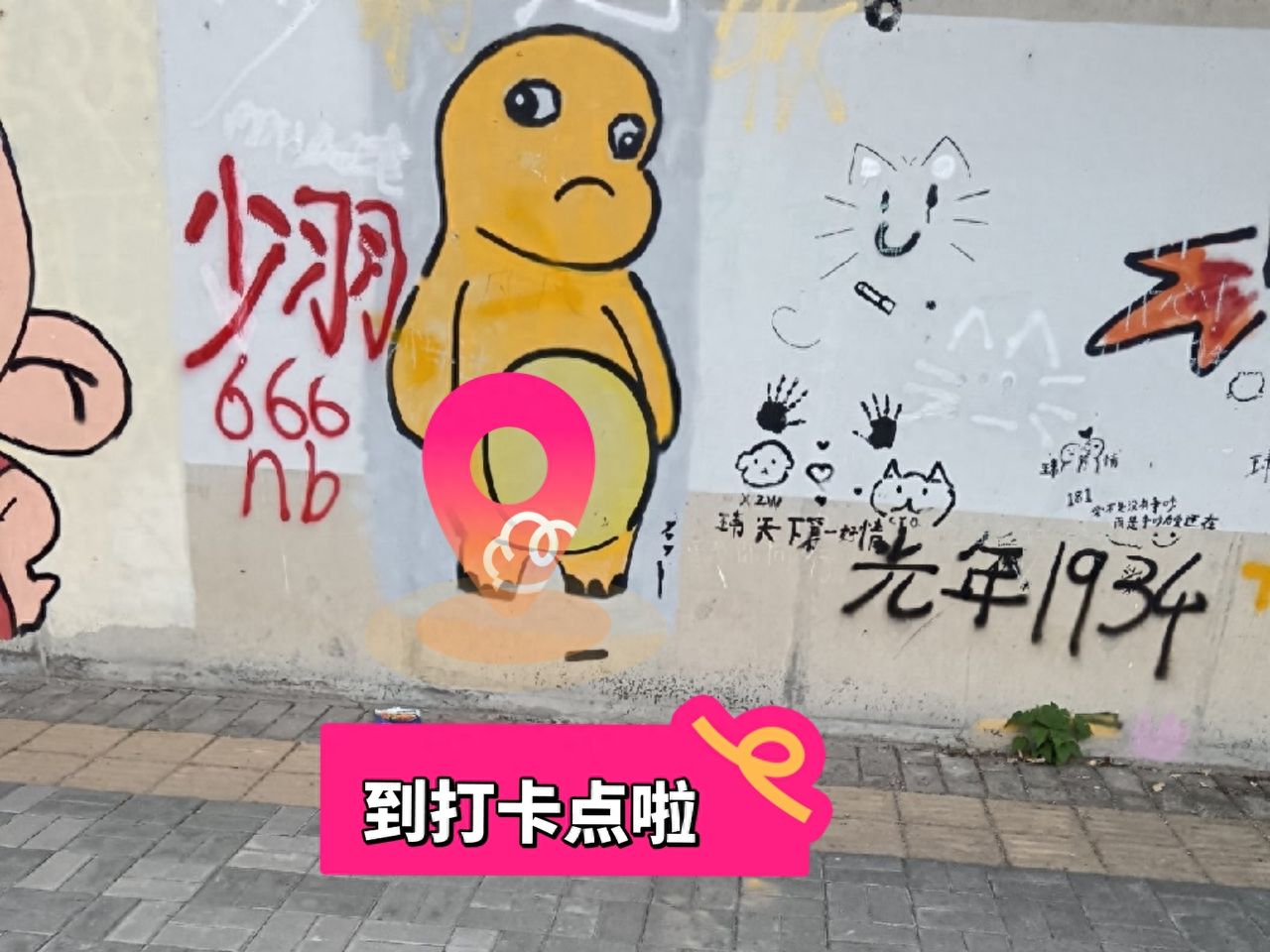 null — step-by-step photo guide