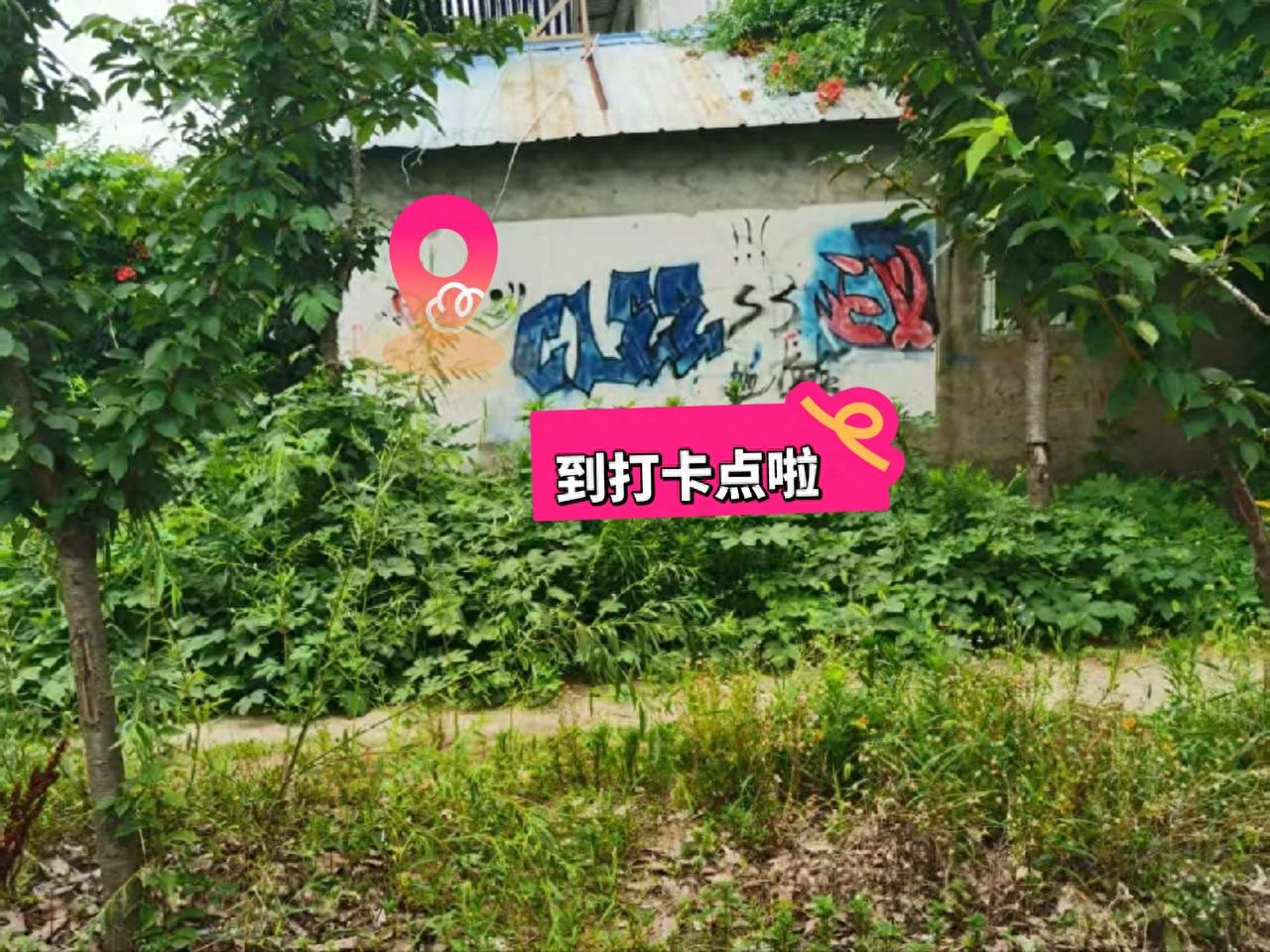 null — step-by-step photo guide