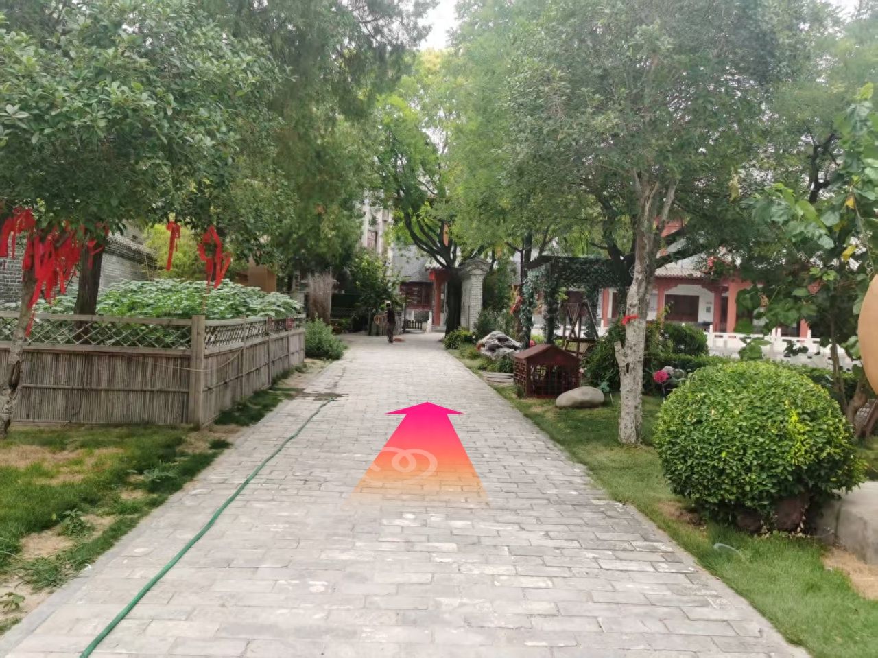 null — step-by-step photo guide