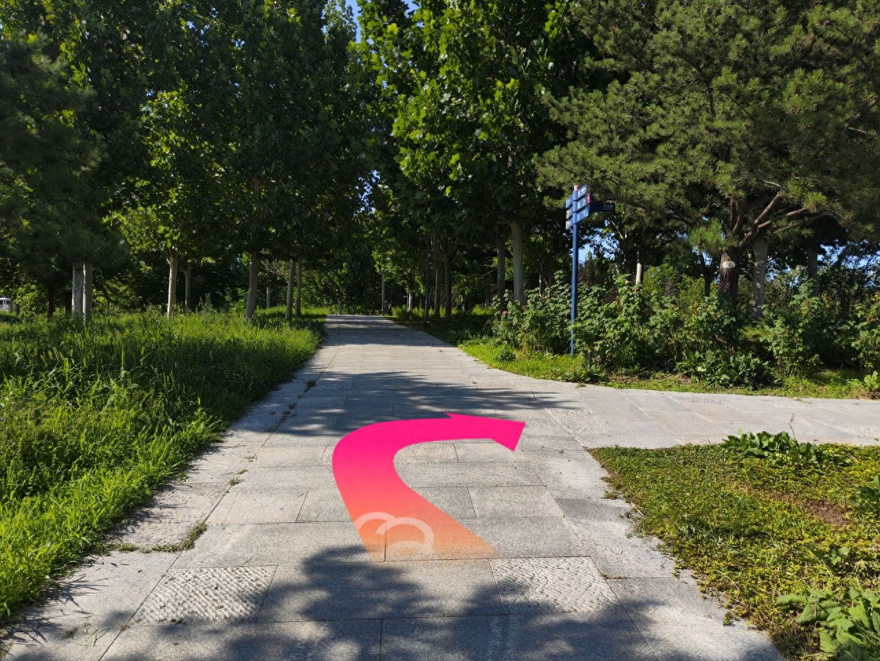 null — step-by-step photo guide