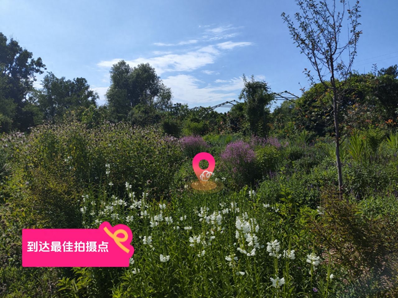 null — step-by-step photo guide