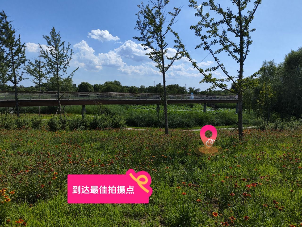 null — step-by-step photo guide