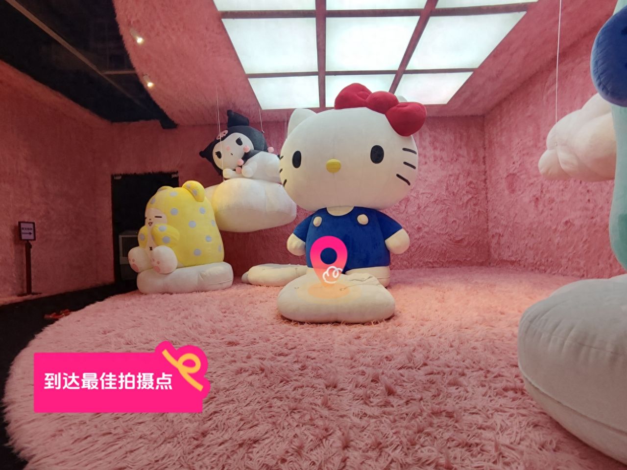 null — step-by-step photo guide