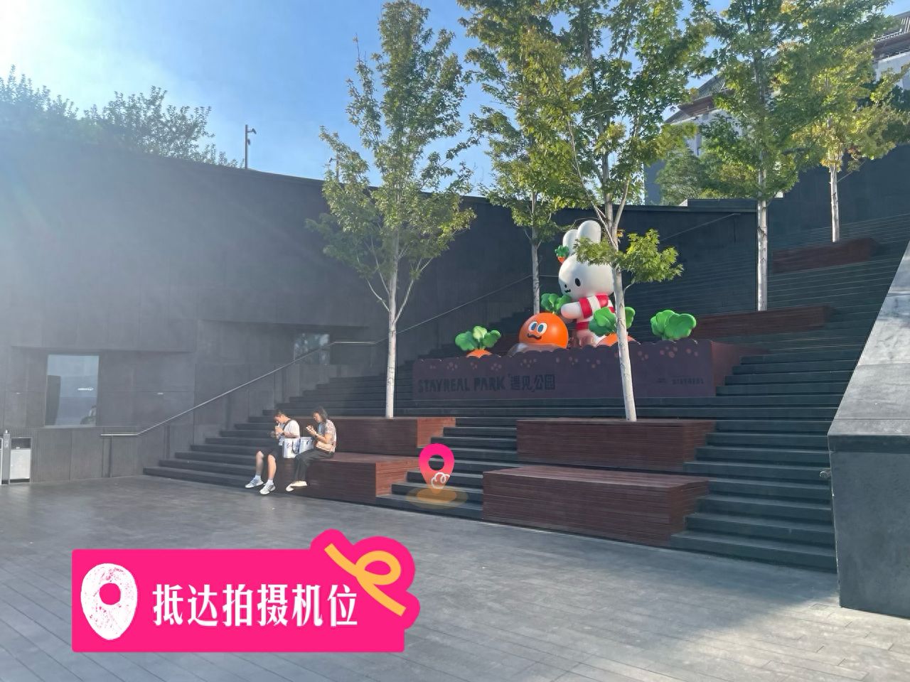 null — step-by-step photo guide