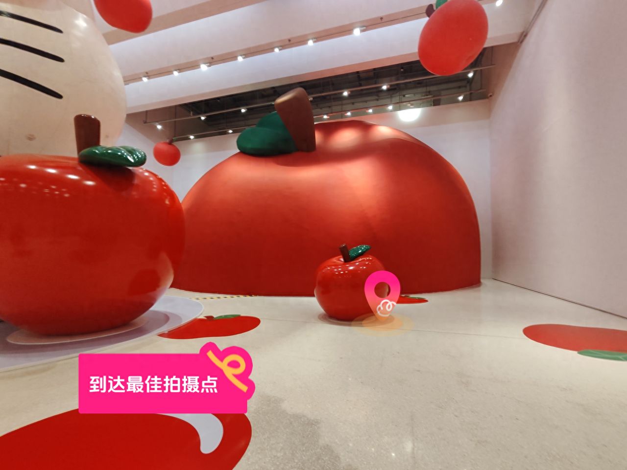 null — step-by-step photo guide