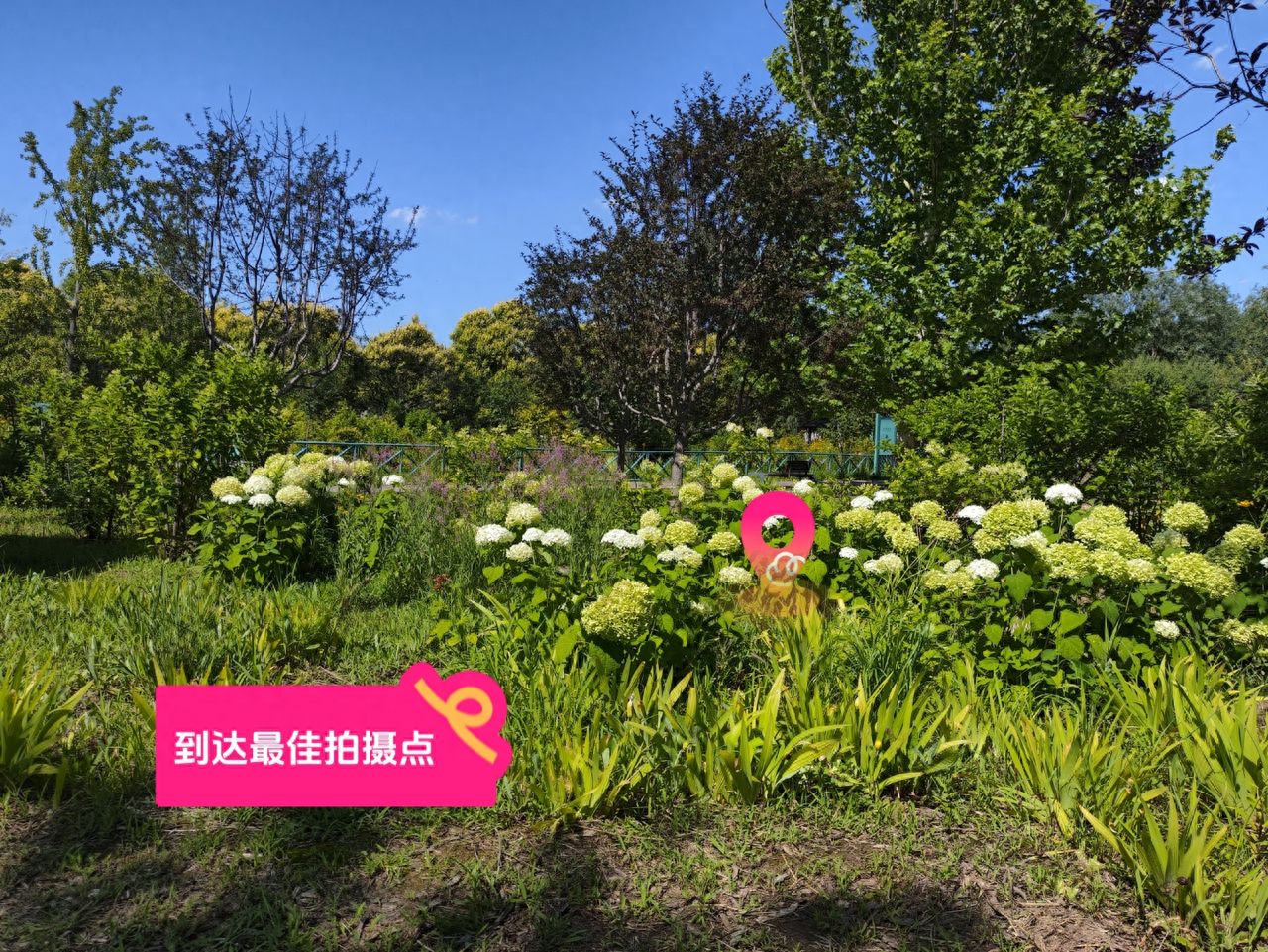 null — step-by-step photo guide