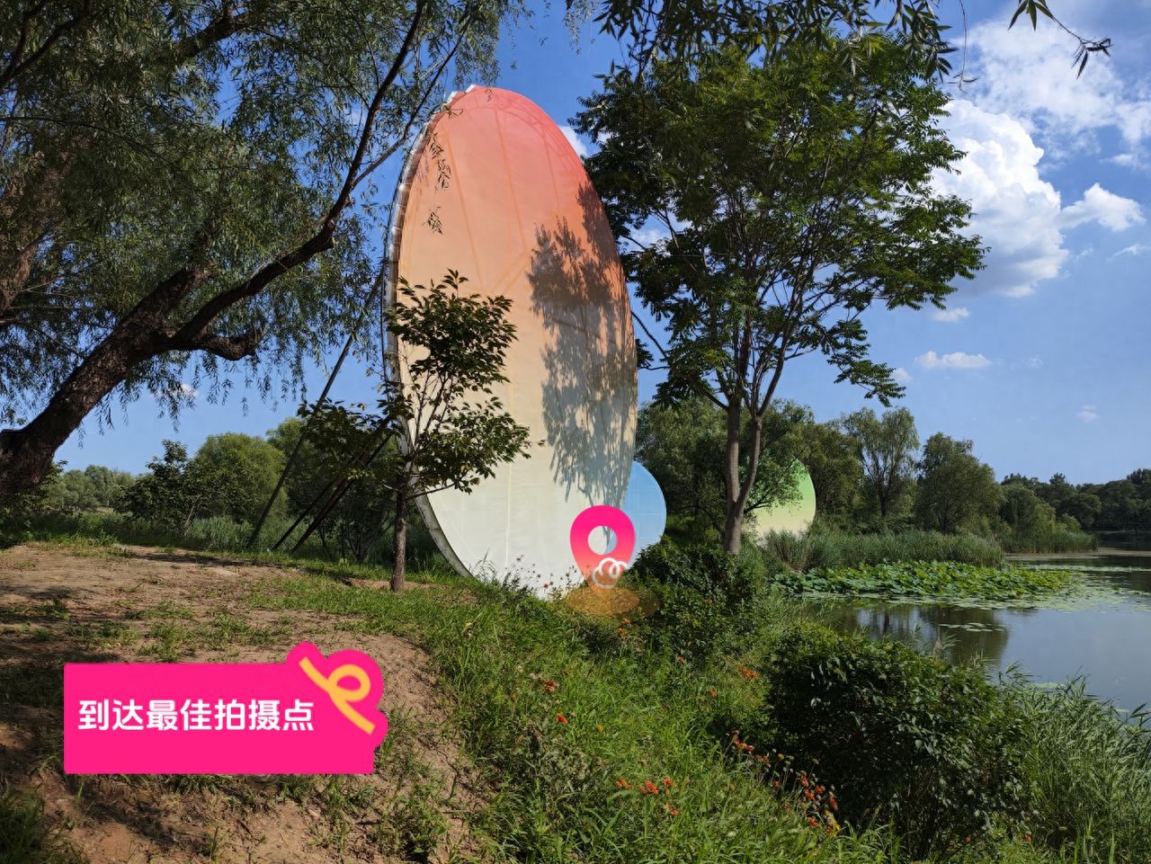 null — step-by-step photo guide