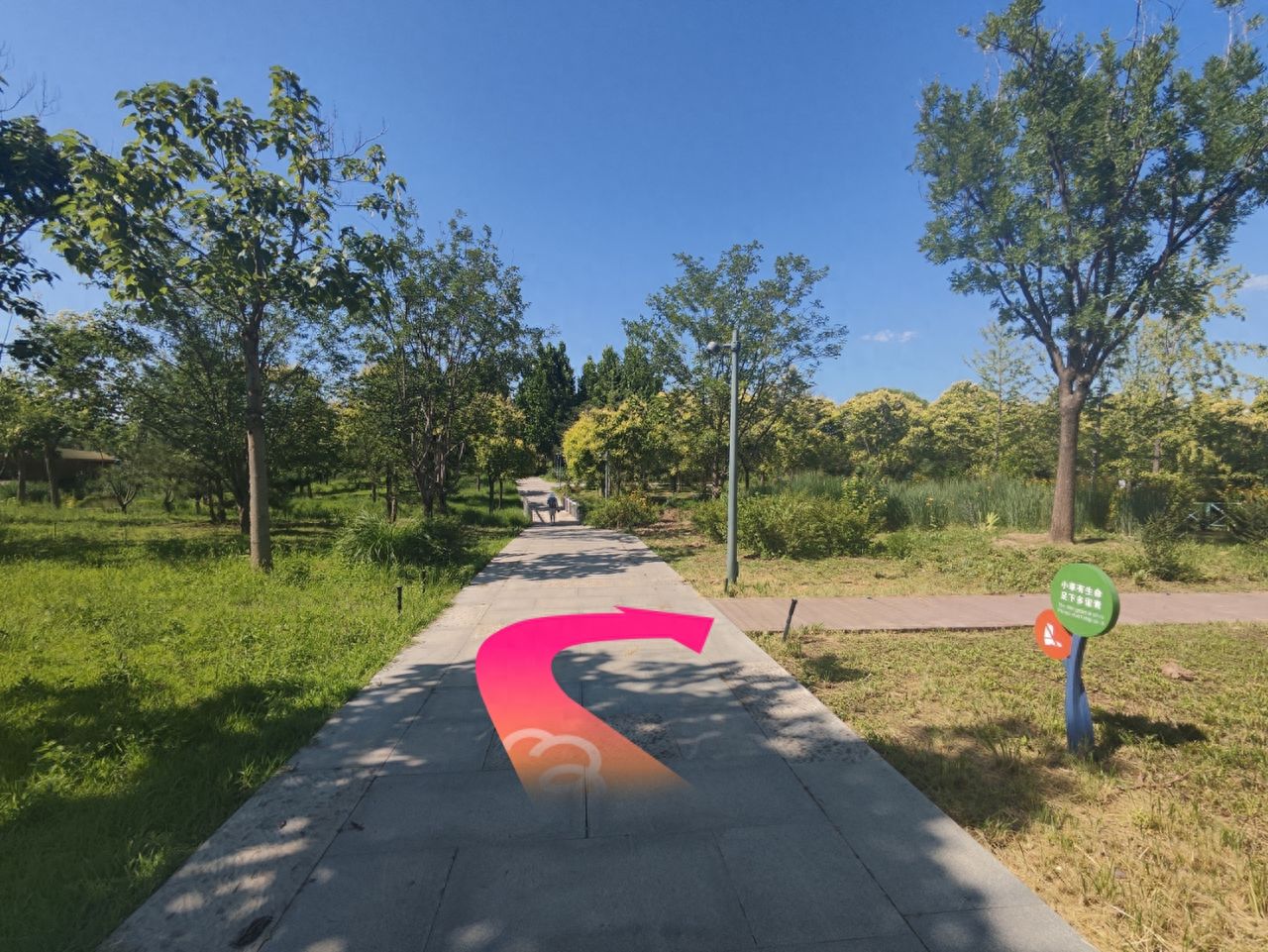 null — step-by-step photo guide