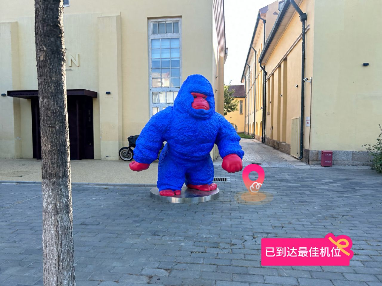 null — step-by-step photo guide